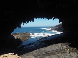 Mehr über den Artikel erfahren Kangaroo Island Teil 2