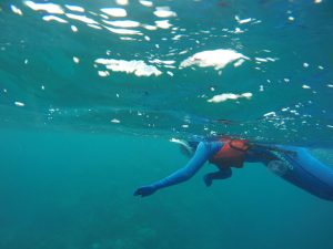Mehr über den Artikel erfahren Ein Tag im Great Barrier Reef