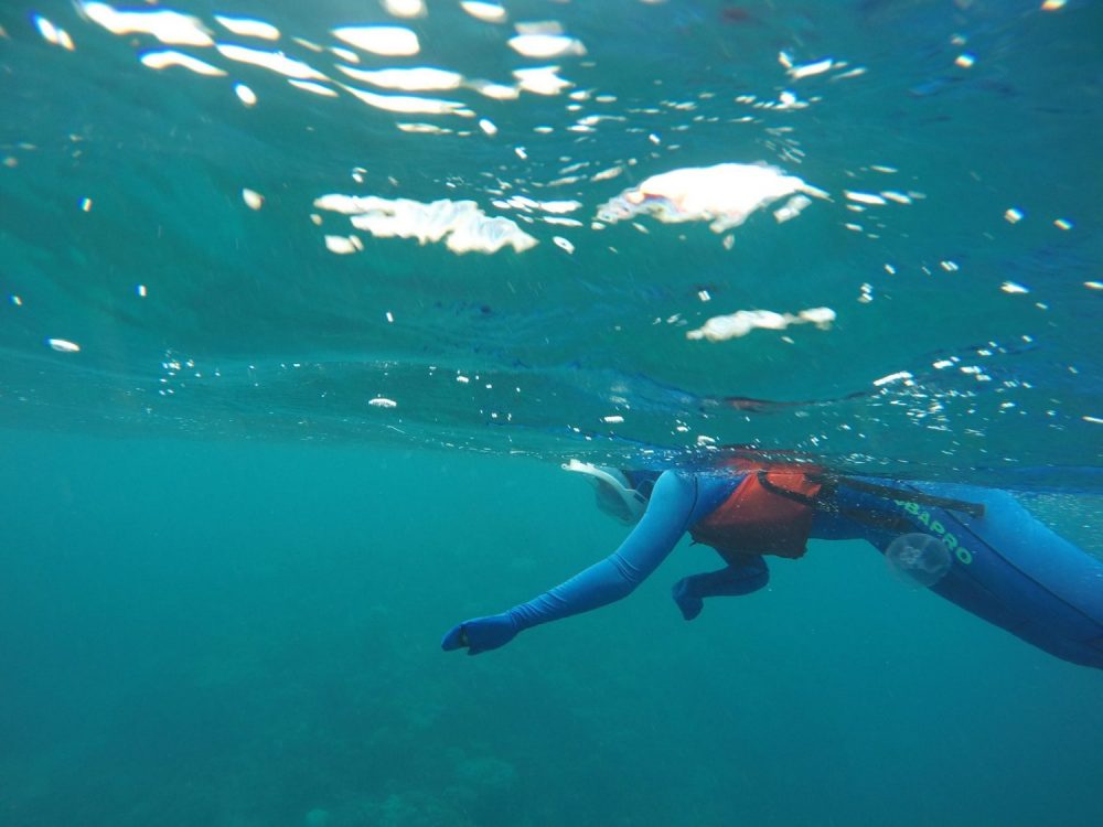 Mehr über den Artikel erfahren Ein Tag im Great Barrier Reef