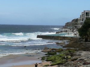 Mehr über den Artikel erfahren Koalas, Kängurus, Strand & Surfer