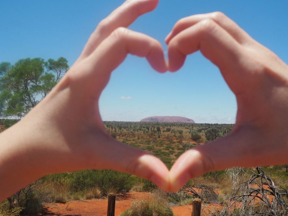 Mehr über den Artikel erfahren Der Berg ruft