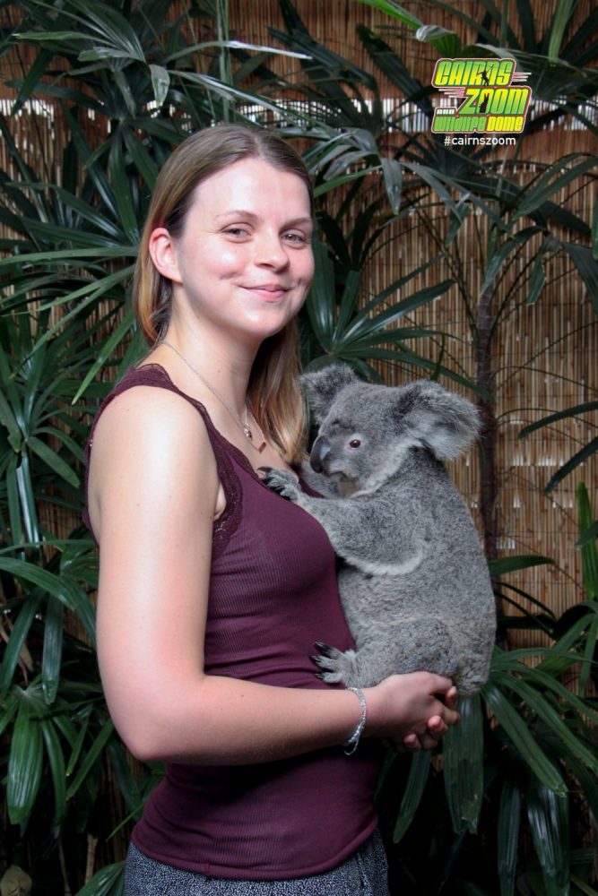 Mehr über den Artikel erfahren Sunny Day in Cairns