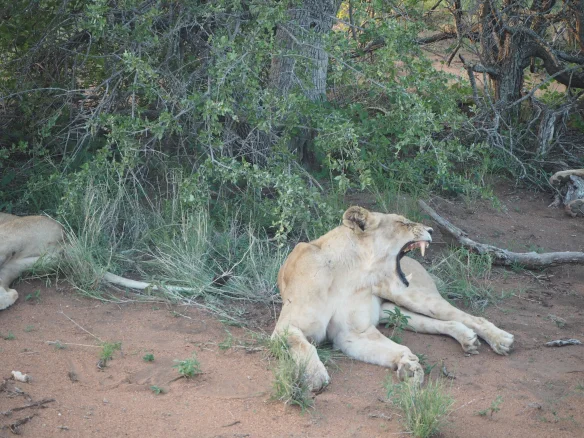 Mehr über den Artikel erfahren Der ewige Kreis