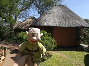 Mehr über den Artikel erfahren Bye bye South Africa