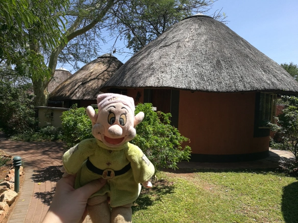 Mehr über den Artikel erfahren Bye bye South Africa