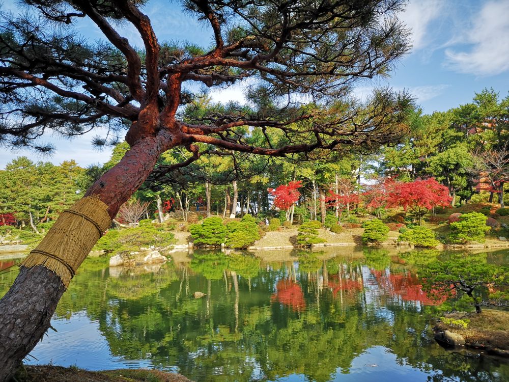 Mehr über den Artikel erfahren Die Stadt der Kraniche