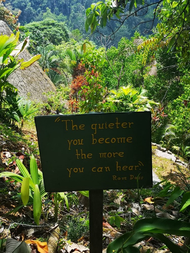 Mehr über den Artikel erfahren Corcovado – Am Ende der Welt