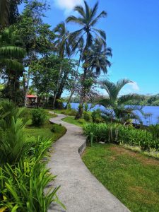 Mehr über den Artikel erfahren Tortuguero – Die Heimat der Schildkröten