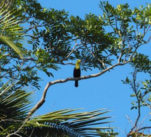 Mehr über den Artikel erfahren Bootstour und Dorfleben