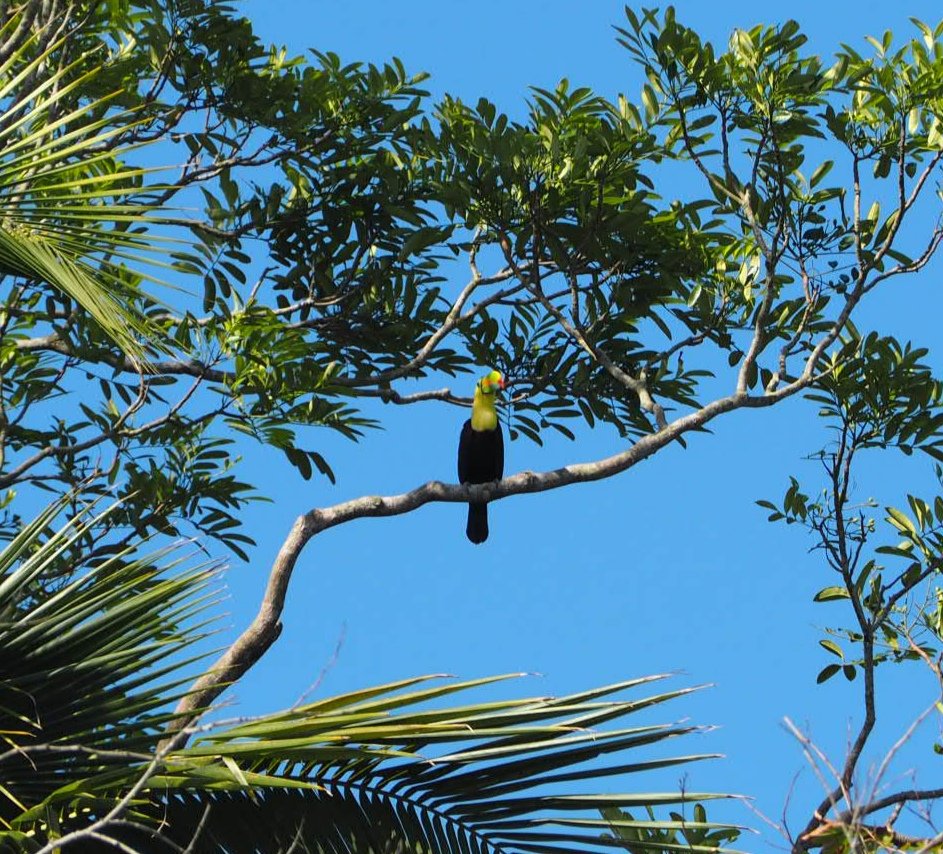 Mehr über den Artikel erfahren Bootstour und Dorfleben