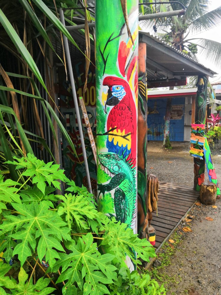 Mehr über den Artikel erfahren Caribbean Vibes