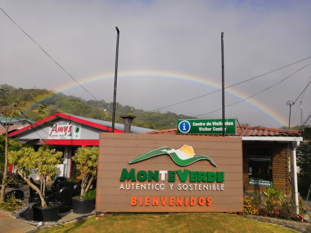 Mehr über den Artikel erfahren Die Nebelwälder von Monteverde