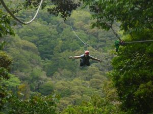 Mehr über den Artikel erfahren Nervenkitzel beim Canopy