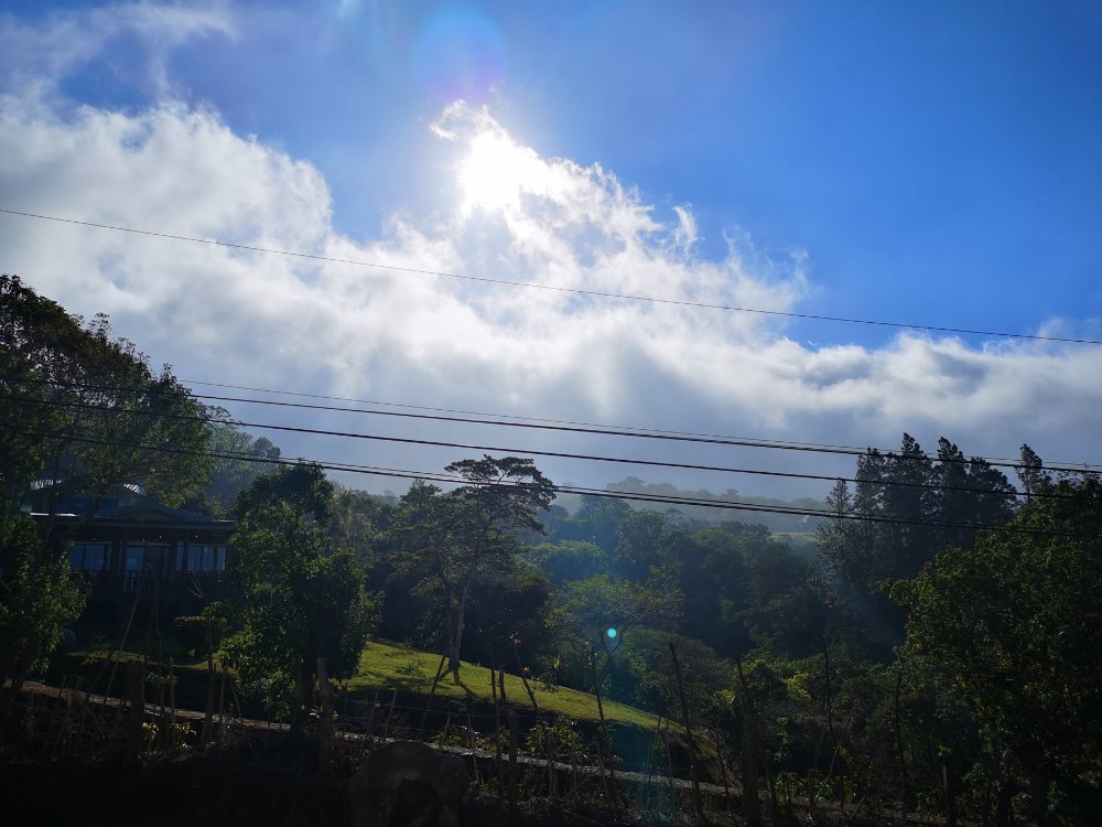 Mehr über den Artikel erfahren Auf nach Alajuela