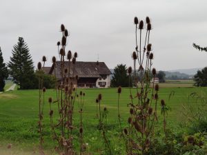 Mehr über den Artikel erfahren Auf nach Zürich