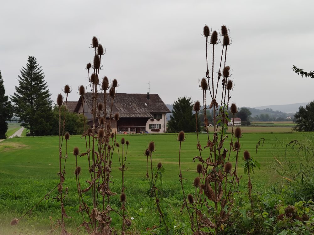Mehr über den Artikel erfahren Auf nach Zürich