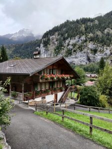 Mehr über den Artikel erfahren Wintereinbruch