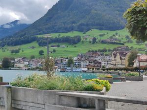 Mehr über den Artikel erfahren Seeidylle und Entenjagd