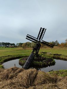 Mehr über den Artikel erfahren Weerribben-Wieden