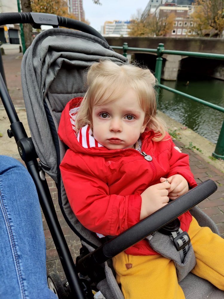 Mehr über den Artikel erfahren Summ Summ