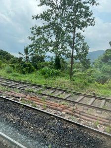 Mehr über den Artikel erfahren Mit dem Zug ins Hochland