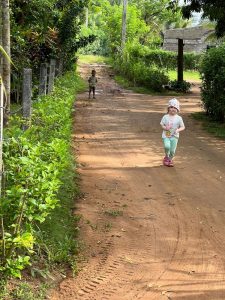 Mehr über den Artikel erfahren Auf nach Sigiriya