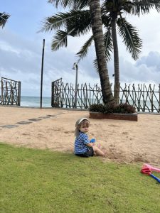 Mehr über den Artikel erfahren Hikkaduwa