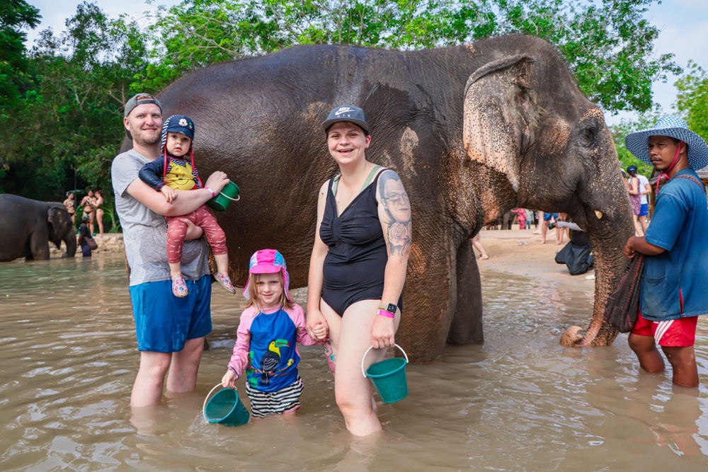 Mehr über den Artikel erfahren Green Elephant Sanctuary