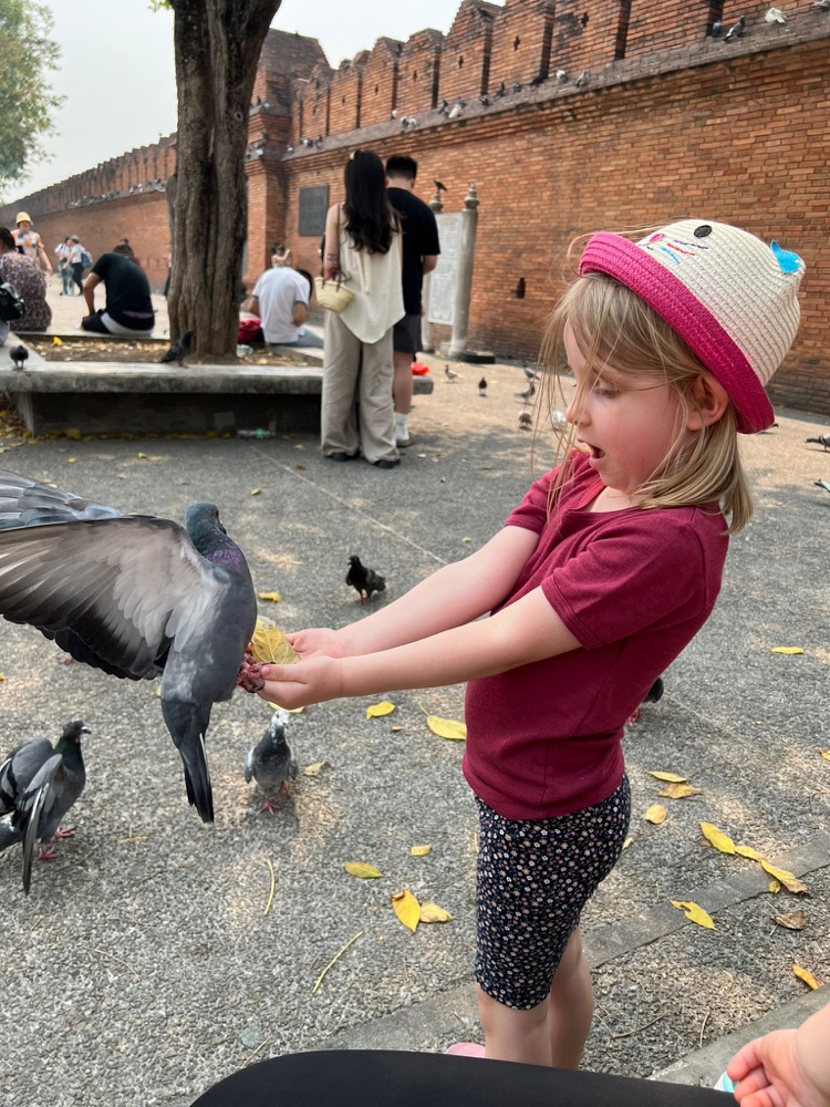 Mehr über den Artikel erfahren Ein Tag in Old Town