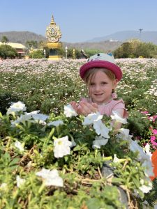 Mehr über den Artikel erfahren Royal Park Rajapruek