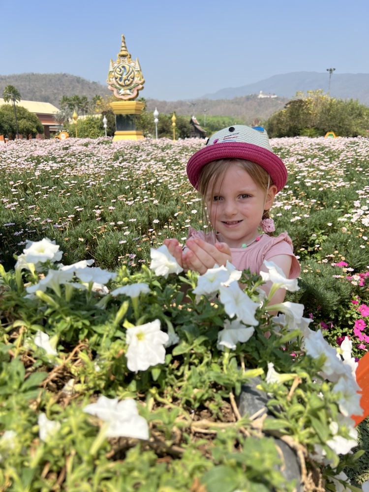 Mehr über den Artikel erfahren Royal Park Rajapruek