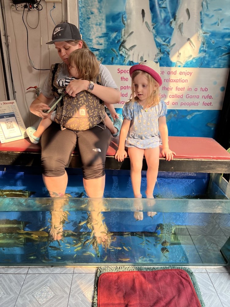 Mehr über den Artikel erfahren Volles Programm in Chiang Mai