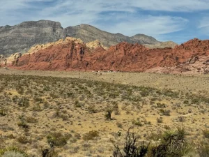 Mehr über den Artikel erfahren Roadtrip – Red Rock Canyon & Barstow