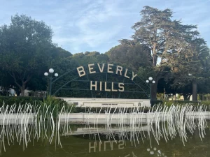 Mehr über den Artikel erfahren Beverly Hills