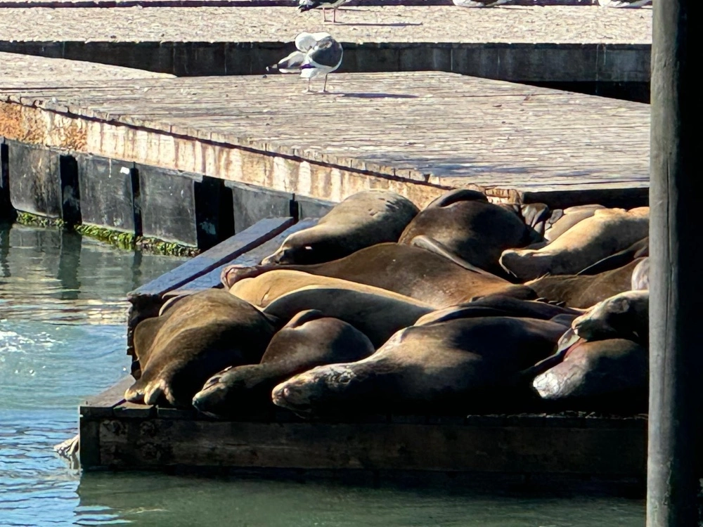 Mehr über den Artikel erfahren Ein Tag am Hafen