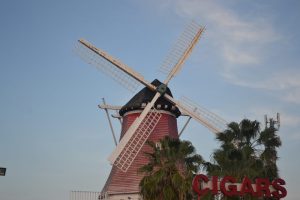 Mehr über den Artikel erfahren Der Vogelpark