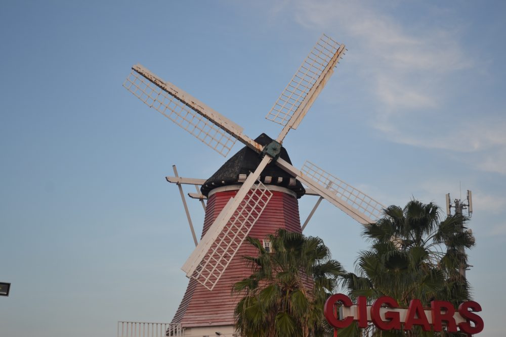 Mehr über den Artikel erfahren Der Vogelpark