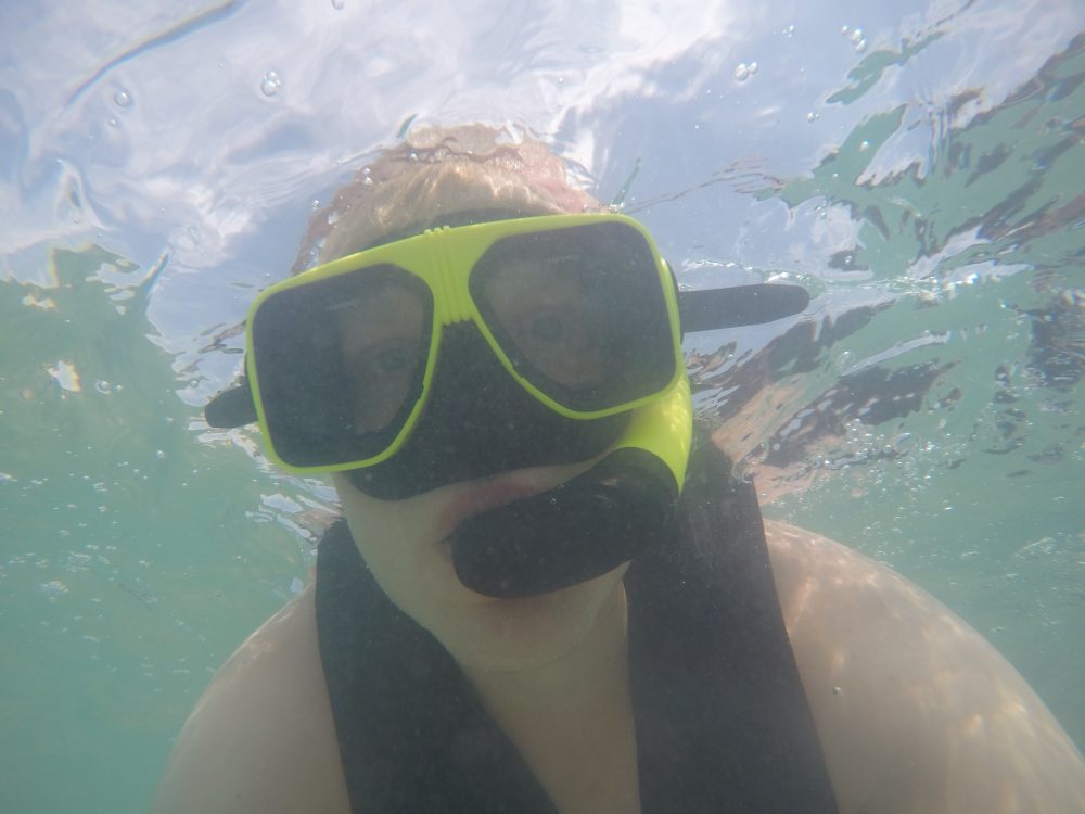 Mehr über den Artikel erfahren Schnorchelausflug