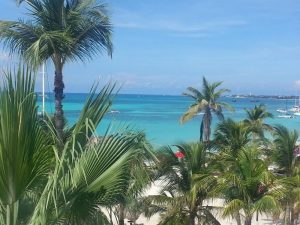 Mehr über den Artikel erfahren Paradiesisch