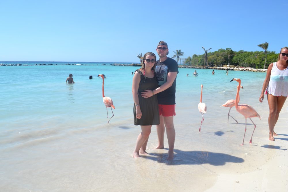 Mehr über den Artikel erfahren Flamingo Beach