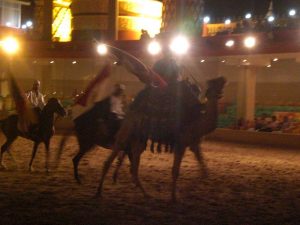 Mehr über den Artikel erfahren Entertainmentprogramm im Hotel