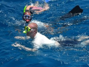 Mehr über den Artikel erfahren Delfinsuche im roten Meer