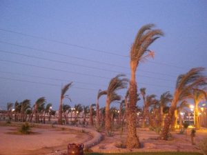 Mehr über den Artikel erfahren Kurzer Trip zur Shoppingmall