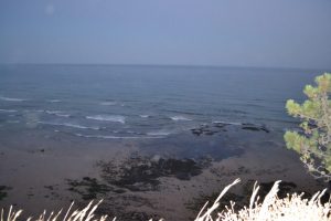 Mehr über den Artikel erfahren Olá!