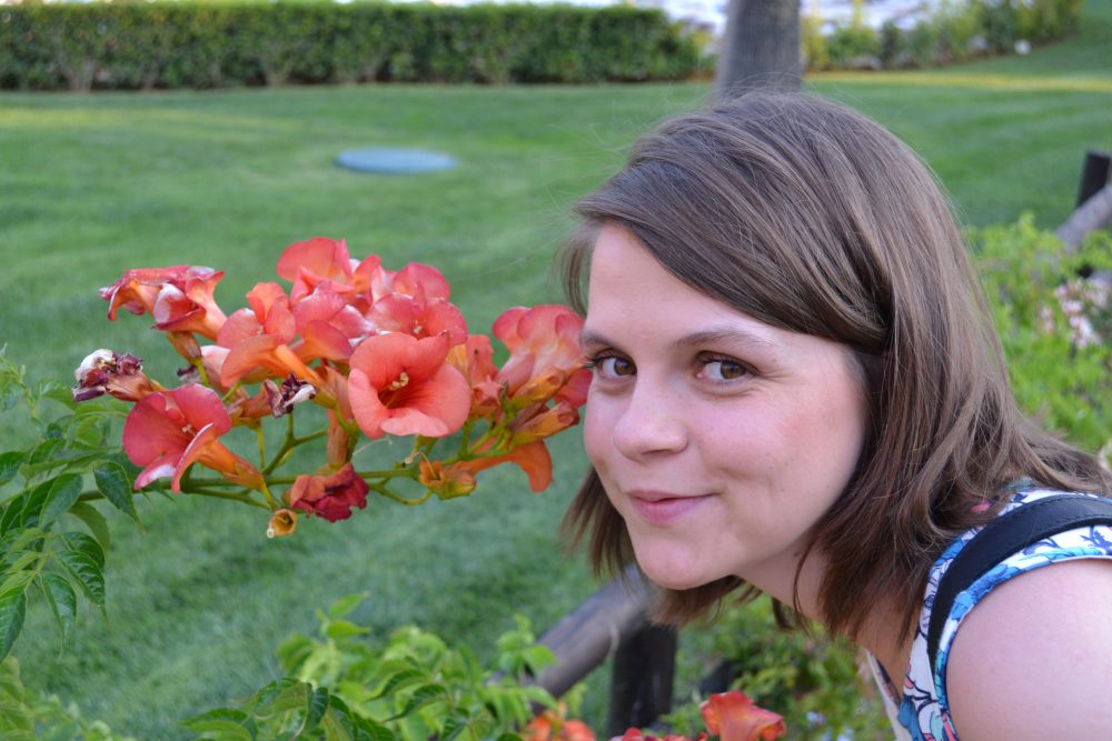 Mehr über den Artikel erfahren Entdeckungstour auf der Anlage