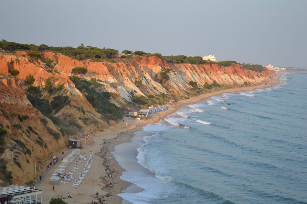 Mehr über den Artikel erfahren Fotosession