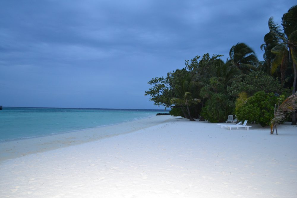 Mehr über den Artikel erfahren Der letzte Tag