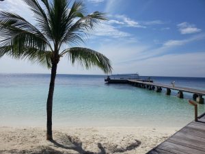 Mehr über den Artikel erfahren Der Quallenkuss