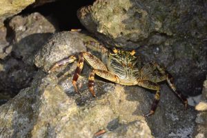 Mehr über den Artikel erfahren Wasserspaß