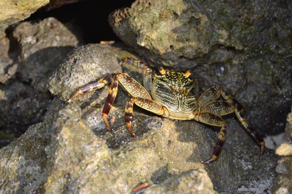 Mehr über den Artikel erfahren Wasserspaß